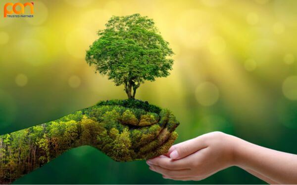 10 việc làm bảo vệ môi trường