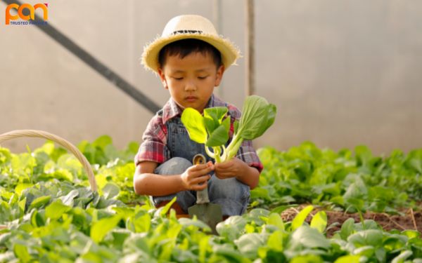 Tại sao chúng ta cần phải bảo vệ môi trường?